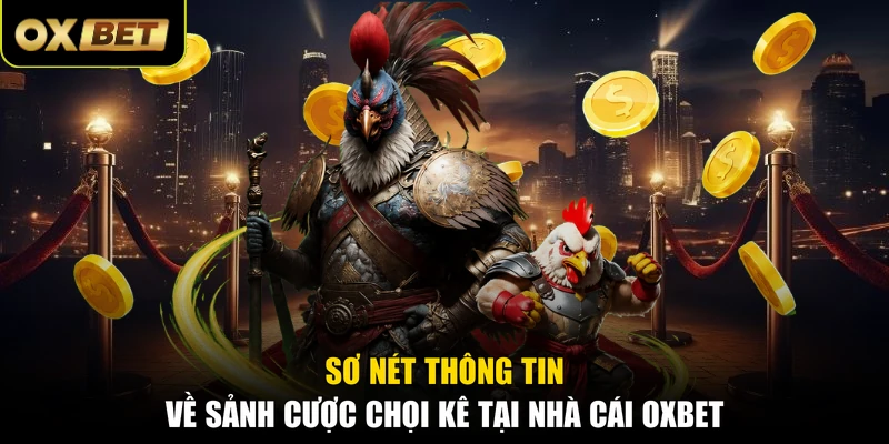 Sơ nét thông tin về sảnh cược chọi kê tại nhà cái OXBET